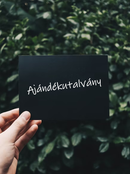 Ajándékutalványt tartó kéz stock fotó